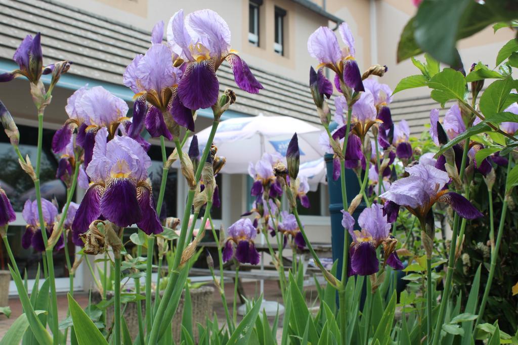 Hotel Ibis Budget Laval Bonchamp Les Laval Luaran gambar